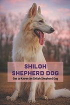Shiloh Shepherd Dog: Get to Know the Shiloh Shepherd Dog