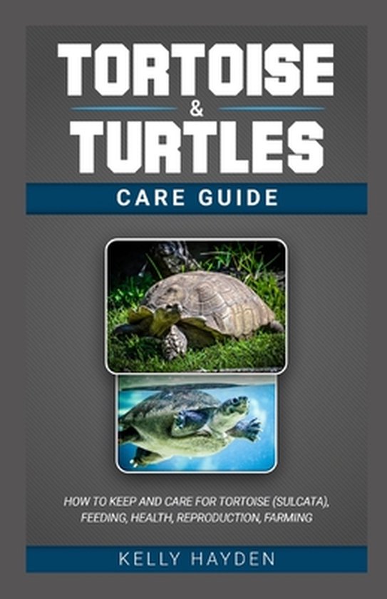 Tortoise and Turtles Care Guide How to keep and care for tortoise
