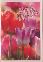 Hartelijk gefeliciteerd met je verjaardag! Een bijzondere wenskaart met mooie tulpen in meerdere kleuren. Een leuke kaart om zo te geven of om bij een cadeau te voegen. Een dubbele wenskaart inclusief envelop en in folie verpakt.