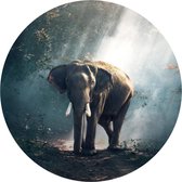 Behangcirkel Olifant In Het Bos  | ⌀ 100 cm | Zelfklevend | Wanddecoratie | Ronde Muursticker | Muurcirkel Binnen