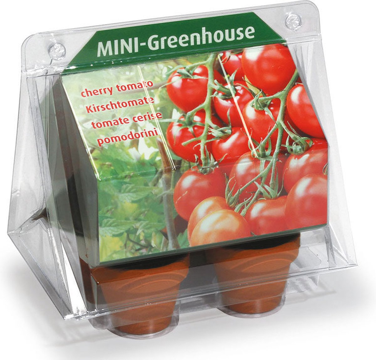 Tip: Kweekset Cherry tomaatjes - Kas - Kweken - Tomaat - Aardbeien plant - Tomatenplant - Tomaten- Vaderdag - Moederdag - Moestuin - Verjaardag - Cadeau
