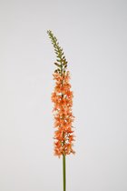 Kunstbloem Eremurus - topkwaliteit decoratie - Oranje - zijden tak - 94 cm hoog