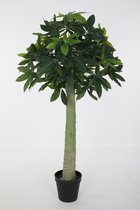 Kunstplant Pachira - topkwaliteit decoratie - Groen - zijden plant - 180 cm hoog
