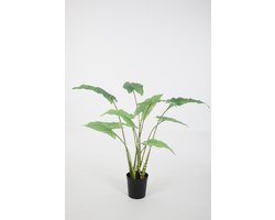 Kunstplant Alocasia - topkwaliteit decoratie - Groen - zijden tak - 60 cm hoog