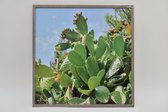 Buiten Schilderij | Cactus | Canvas | Met Frame | 58x58 cm