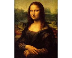 Diamond painting - Mona Lisa van Leonardo da Vinci - Oude meesters - Geproduceerd in Nederland - 30 x 40 cm - canvas materiaal - vierkante steentjes - Binnen 2-3 werkdagen in huis