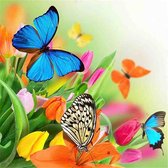 Diamond painting - Meerdere gekleurde vlinders - Geproduceerd in Nederland - 60 x 60 cm - canvas materiaal - vierkante steentjes - Binnen 2-3 werkdagen in huis