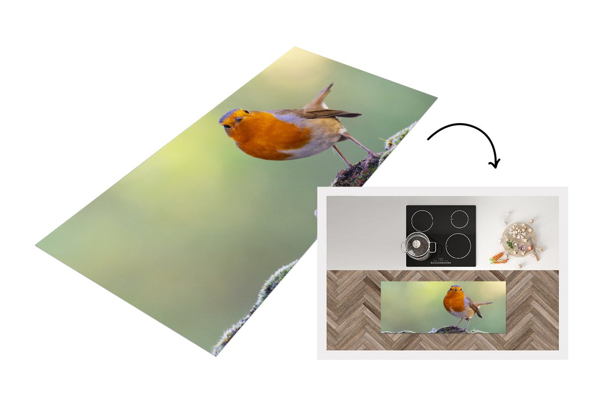 KitchenYeah Keukenloper - Loper keuken - Stenen - Roodborstje - Natuur - 120x50 cm - Keukenloper vinyl Multicolor