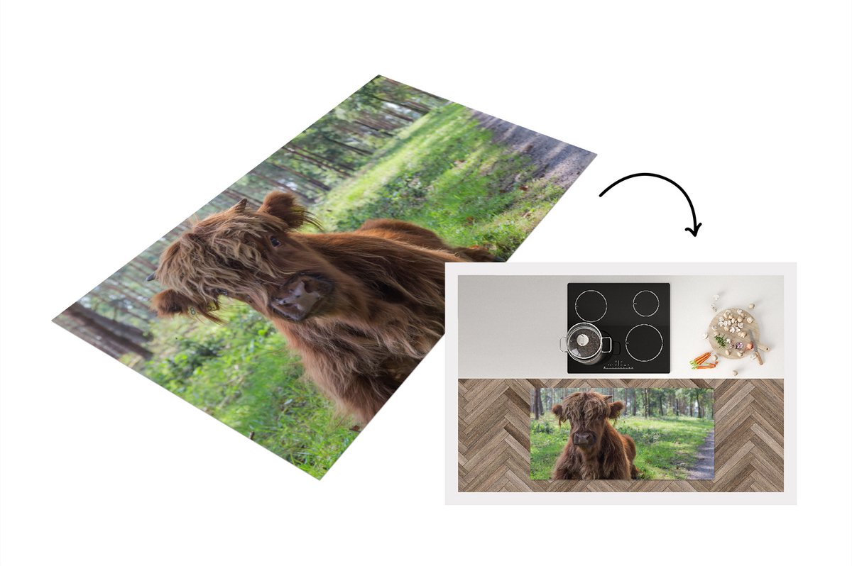 KitchenYeah Keukenloper - Loper keuken - Schotse Hooglander - Pad - Dieren - 120x60 cm - Keukenloper vinyl Multicolor