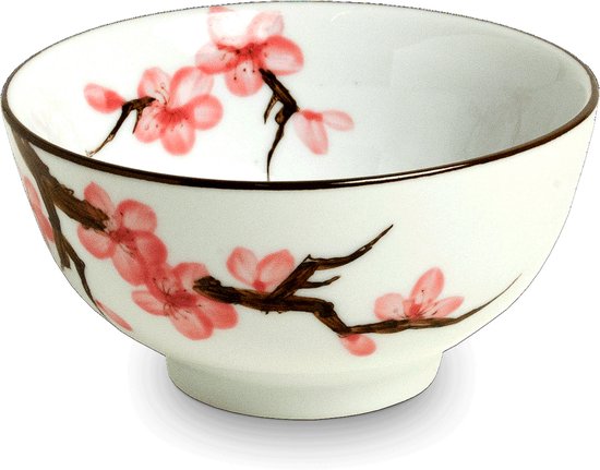 Handgemaakte Kyoto Matcha Kop voor Ceremoniële Matcha