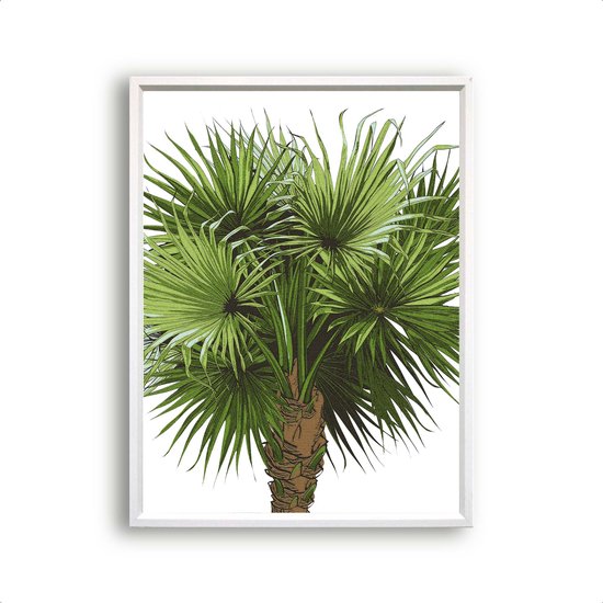 Schilderij  Tropische kokosnootboom / Planten / Bladeren / 40x30cm