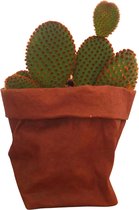 de Zaktus - cactus - San Pedro - UASHMAMA® paperbag lichtblauw - Maat M