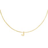 Edelstalen collier initiaal J goud
