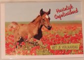 Hartelijk gefeliciteerd met je verjaardag! Een mooi paard tussen de bloemen in het gras. Een leuke kaart om zo te geven of om bij een cadeau te voegen. Een dubbele wenskaart inclusief envelop en in folie verpakt.