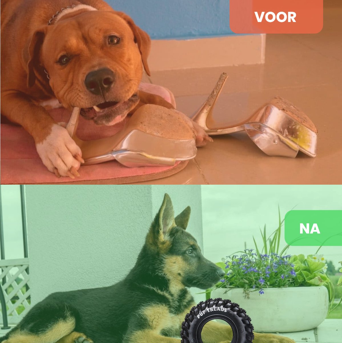 Hondenspeelgoed met piep, rubber bot