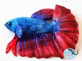 Ceramicnature Beta Fish Plush - Knuffel - 17x7x14 cm Blauw Rood Wit