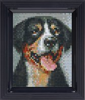 Pixel hobby geschenkverpakking - Zwitserse hond
