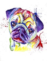 Allernieuwste Canvas Aquarel Boxer Mopshond Graffiti - Kleur - Dieren grafitti - 40 x 60 cm