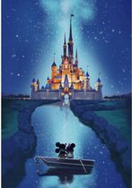 DIAMOND PAINTING Disney (30 X 40 CM)