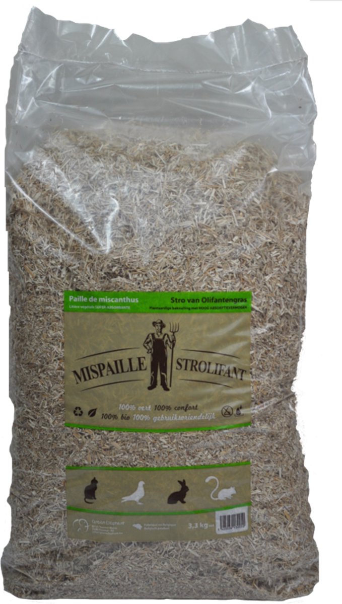 2x Green Elephant Stro Miscanthus Olifantengras Misspaille Strolifant 3,33Kg - Total 6,66Kg