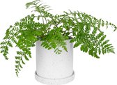 QUVIO Flowerpot - Cache-pot pour l'intérieur - Cache-pot - Pot - Porte-plante - Jardinage - Fleurs - Céramique - 18 x 18,5 cm (dxh) - Wit avec noir