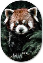 Wandovaal Red Panda - WallCatcher | Geborsteld Aluminium 80x120 cm | Ovalen schilderij | Muurovaal Kleine rode panda in de jungle