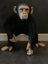 Goodyz - Chimpansee Beeld- 45cm hoog - Jungle in huis -