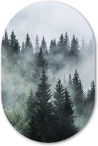 Wandovaal Misty Forest - WallCatcher | Aluminium 40x60 cm | Ovalen schilderij | Muurovaal mist tussen de bomen in het bos op Dibond