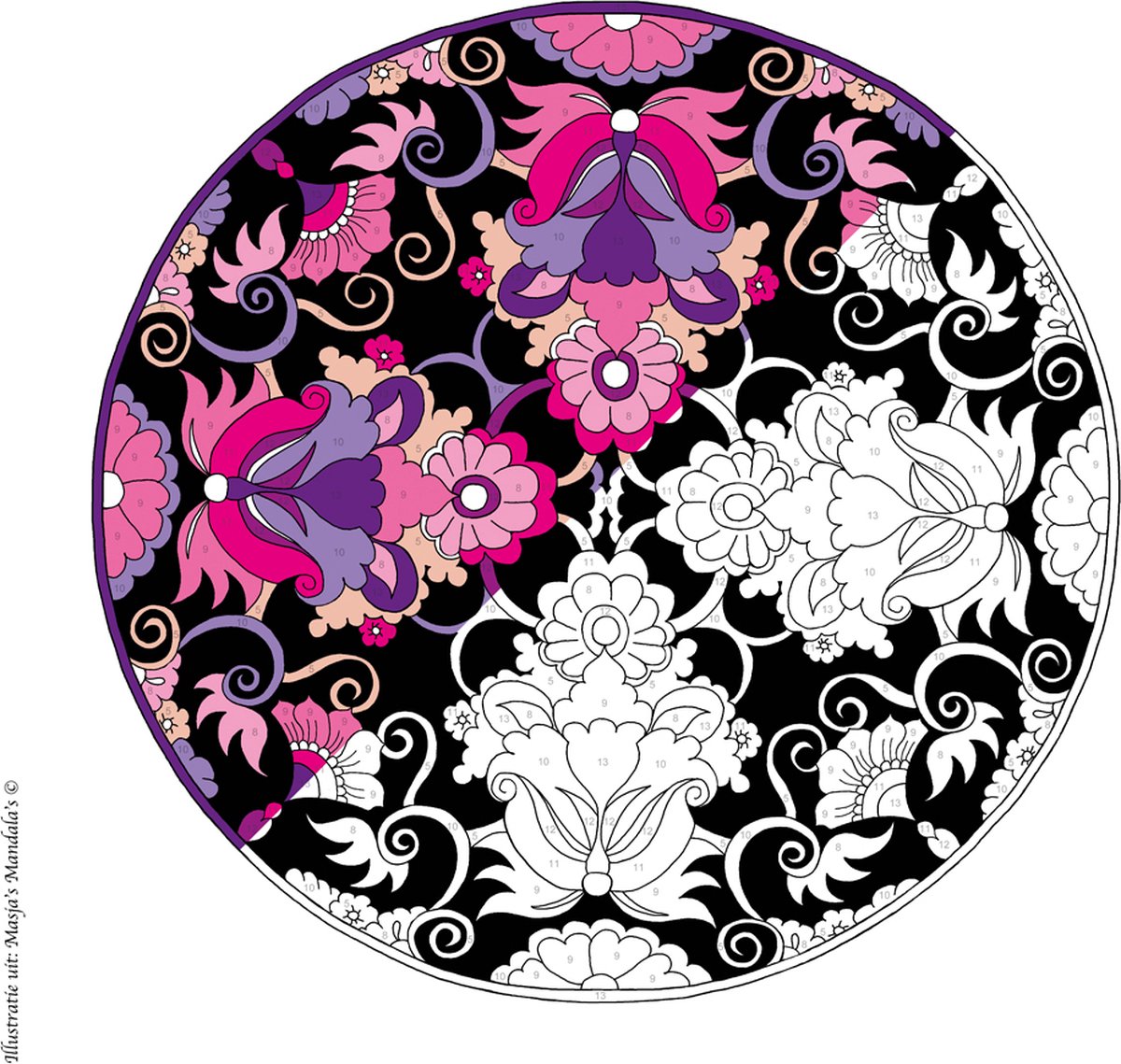 Masja van den Berg - Kleuren op nummer - Masja’s Mandala's - mandala - kleurboek voor volwassenen — afbeelding 3