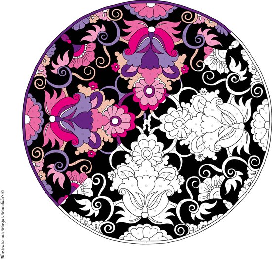 Masja van den Berg - Kleuren op nummer - Masja’s Mandala's - mandala - kleurboek voor volwassenen