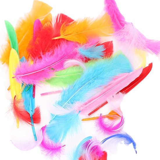 Beneden afronden Zachtmoedigheid Hoeveelheid geld veren - knutselveren - gekleurde veren - veertjes hobby - knutselen -  creatief | bol.com