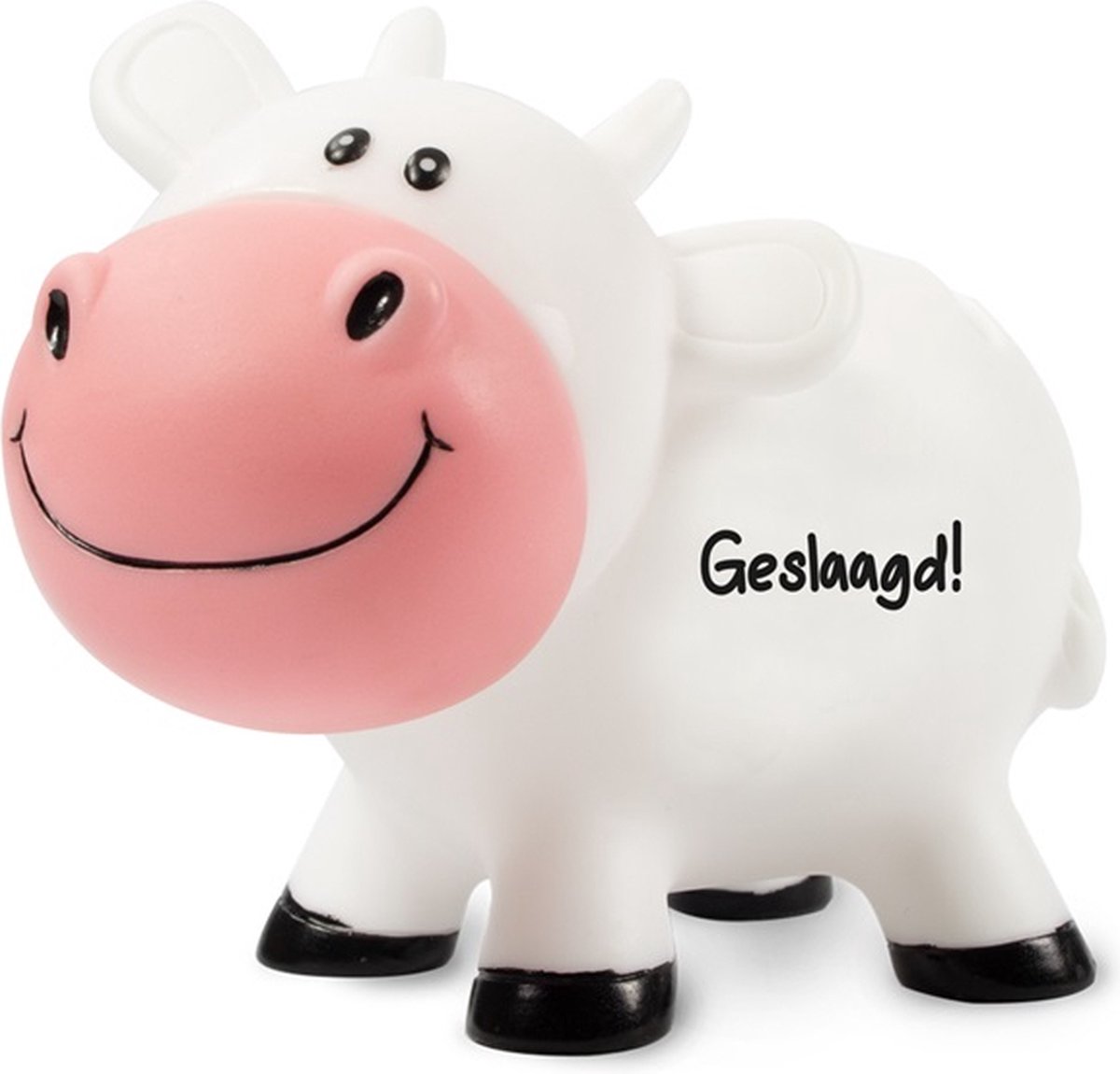 Spaarpotje koe Geslaagd