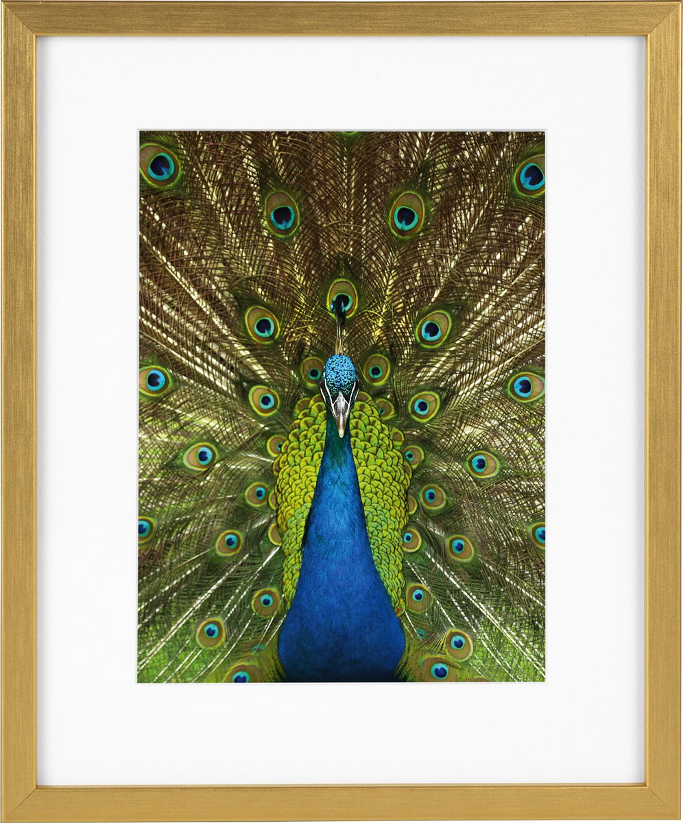 Goldbuch Fotolijst Pino - Goud - 13x18 cm (20x25 cm)