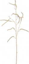 tak hazelaar 84 cm goud