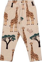 Giraffes Leggings Leggings | Maillots Bio-Kinderkleding