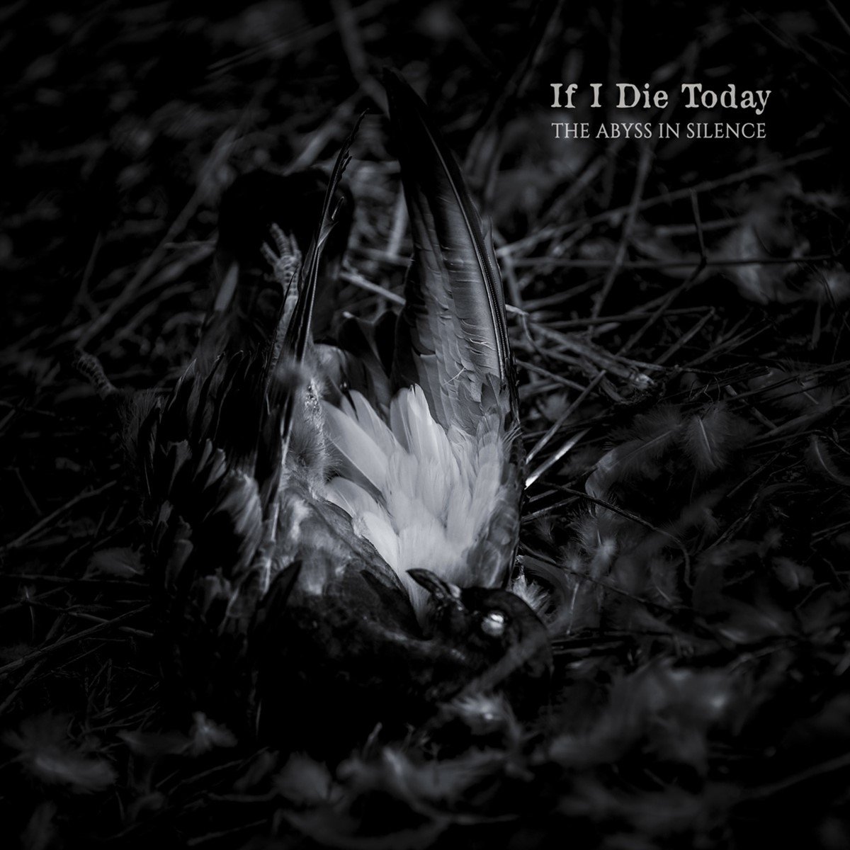 If I Die Today - The Abyss In Silence (CD)