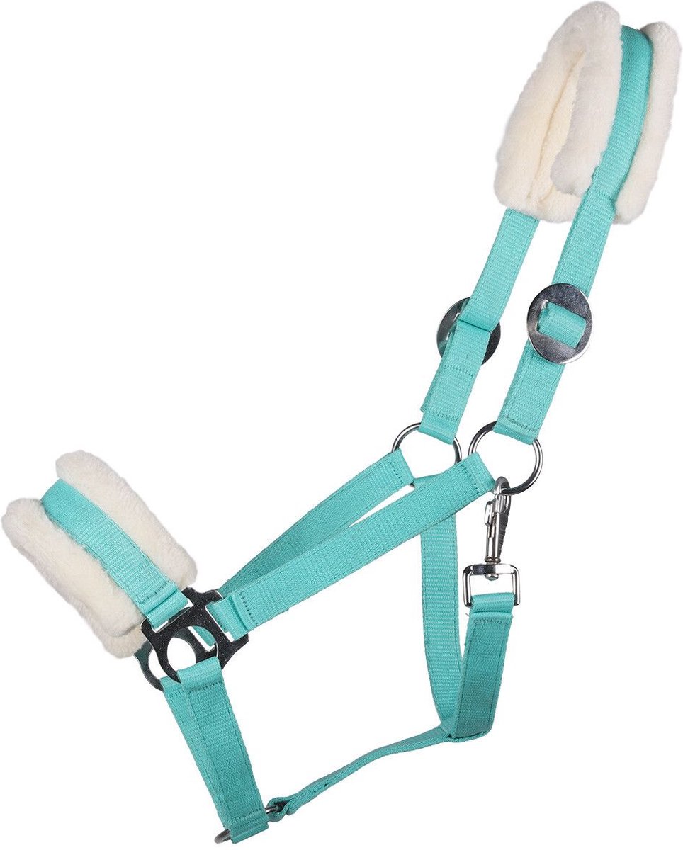 QHP Halster Cali Turquoise Pony