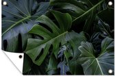 Affiche de jardin Botanical Leaves in the Asian Bali 60x40 cm - small - Toile de jardin / Toile d'extérieur / Peintures d'extérieur (décoration de jardin)