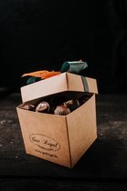 Doosje Belgische Chocolade - gemengde pralines - 500 gr - Ambachtelijk vervaardigde bonbons - Chocolade geschenkset