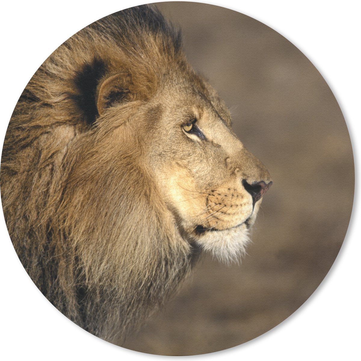 Muismat rond 20x20 cm - Mousepad Profiel - Leeuw - Afrika - Ronde muismatten