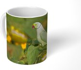 Mok - Parkiet die zonnebloempitten aan het eten is - 350 ML - Beker - Uitdeelcadeautjes