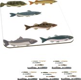 Onderzetters voor glazen - Een illustratie van zes gekleurde vissen - 10x10 cm - Glasonderzetters - 6 stuks