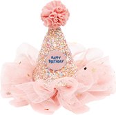 Souza for kids - Birthday hat on clip