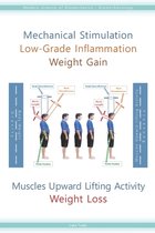 Mechanical Stimulation Low-Grade Inflammation Weight Gain