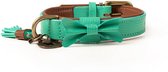 Dwam Halsband Boomer Turquoise - Hondenhalsband - 34-42x2.5 cm