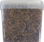Gedroogde Meelwormen 10L (1.75kg) emmer