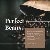 Toscanelli Ciao Tutti - Koffiebonen - Fairtrade - Medium roast - 3x250GR