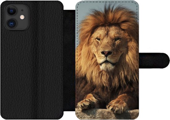 Bookcase Geschikt voor iPhone 11 telefoonhoesje - Leeuw - Rots - Portret - Met vakjes - Wallet case met magneetsluiting