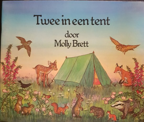Omslag van Twee in een tent door Brett