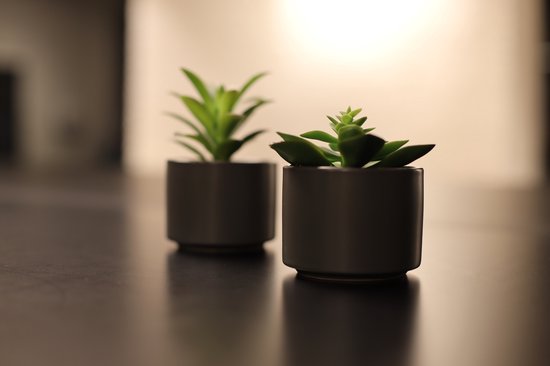 Plante artificielle, pot céramique - Atmosphera, créateur d'intérieur